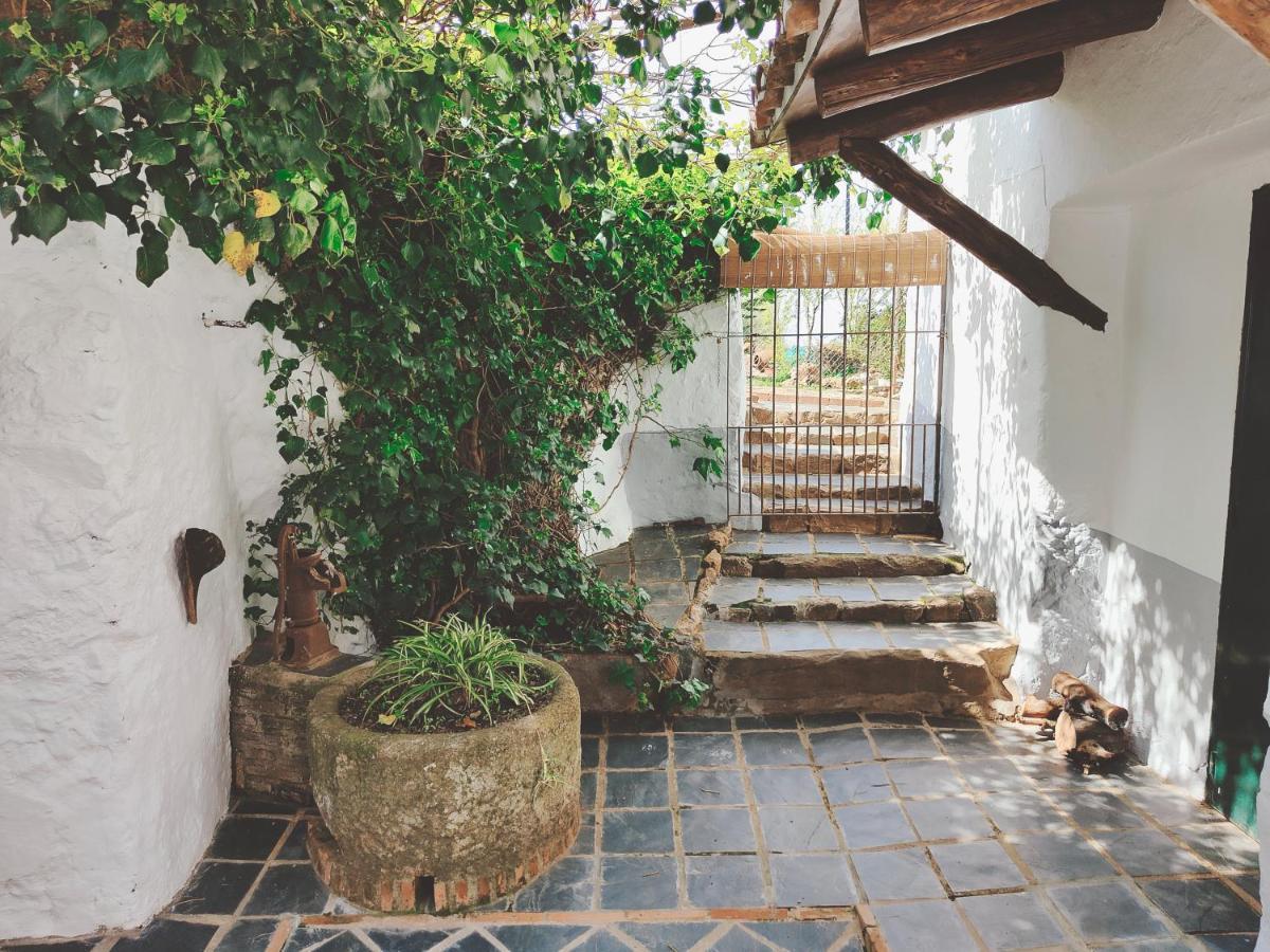La Era De San Blas Fuentes De Leon Bagian luar foto